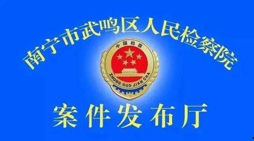 南宁武鸣爆料案件最新,真相渐明，疑云散去